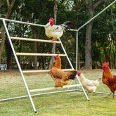 Petsfit square roosting bar base provides stable perching for flock comfort.