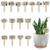 PEUTIER wooden plant markers 15pcs for clear garden labeling and organization