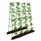 PHENEAHILL large A-frame trellis supports tomatoes and cucumbers for vertical growth.