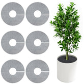 phepetroll plant pot grid protecting indoor plants from pets while keeping soil in place