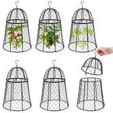 Phoncoo garden cloche 6-pack protecting seedlings from pests while letting sun and rain through.