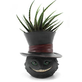 Picvelno black cat head planter front view enhances desk decor and greenery