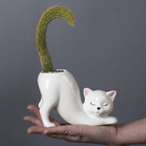 Picvelno unique tailless-cat planter adds playful indoor charm for succulents.