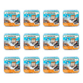 Pine Tree Farms insect suet cake pack 12oz for year-round backyard feeding.