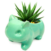 Pinsjar cartoon ceramic flowerpot in green glaze for small succulents.