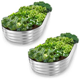 Plant & Plot galvanized raised bed 8x4x1 ft open-base for spacious planting.