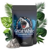 Plant Success Great White bottle pour; easy application for healthy roots.
