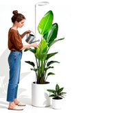 PlantaPulse grow light full spectrum 72 LED over thriving indoor greens.
