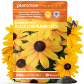 PLANTMEW Black Eyed Susan seeds bulk bag for a sunny border with vibrant blooms.