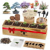 PlantMEW Bonsai Kit with five varieties for beginner indoor gardening