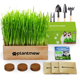 PlantMEW cat grass kit setup with components for easy indoor growth.