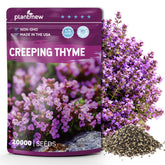 PlantMew creeping thyme seeds pack ready for planting and ground cover.