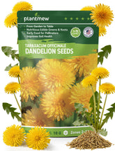 PLANTMEW dandelion seeds packaging ready for large planting in sunny garden beds.