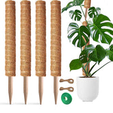 PLANTPOLEX moss pole with coir close-up showing moisture-friendly surface for aerial roots.