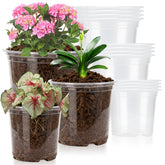 Plgardpo clear nursery pot 5in front view with drainage holes for seedlings