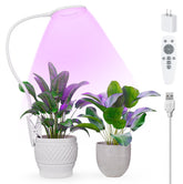 POBOMVOM full-spectrum clip-on grow light on a desk for versatile indoor care
