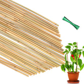 POLIUMB 35pcs bamboo stakes, straight design for sturdy plant support.