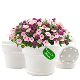 Pottiffe 10-inch white plastic flower pot for stylish indoor greenery.