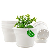 Pottiffe 6-inch plastic flower pot for indoor and outdoor use with versatile display.