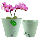 Pottiffe self-watering pot with water level window for easy moisture monitoring