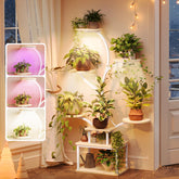 PRAISUN 51-inch plant stand front view with grow lights for year-round care