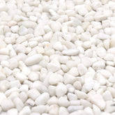 Premium Pebbles White Rocks close-up with a lightly polished finish for elegant plant displays