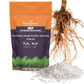 Prevegenics MKP fertilizer bottle label highlighting high phosphorus and potassium for root and bloom support.