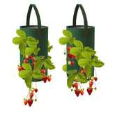 Pri Gardens hanging strawberry planter with 11-hole design for abundant home berries.