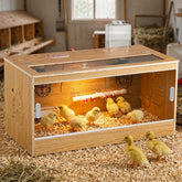Proshine Brooder front view showing 32-inch frame and spacious interior for up to 30 chicks