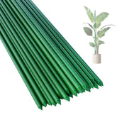 PROWORX 36-inch steel garden stake with green coating provides durable plant support.
