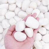 Pulovin white rocks 1-2 inch close-up for indoor decor and texture.