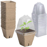 Purple Star 1N biodegradable nursery pots with humidity dome ready for seed germination and easy observation.