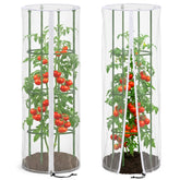 Purple Star 1N garden netting over a round tomato cage provides pest protection while allowing airflow.