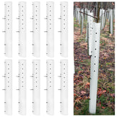 Pushglossy tree grow tube 36in white protects seedlings and improves survival in outdoor soil