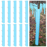 Pushglossy tree-tube-blue-48in shields seedlings for steady growth and reduced transplant shock.