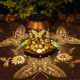 PWOOME solar bird feeder with butterfly lantern hanging on a tree attracts birds.