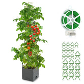 Qaobo raised garden bed with trellis supports climbing tomatoes and vines