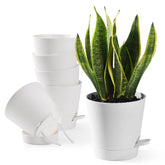 Qaobo self-watering pots front view for effortless indoor plant care