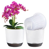 QCQHDU 2-pack 5.7-inch orchid pot with holes for aerated root growth.