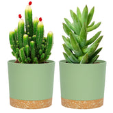 QCQHDU 5-inch plant pot with drainage holes for healthy root moisture management.