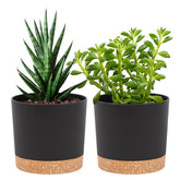 QCQHDU 5-inch pot with modern design for stylish indoor decor.