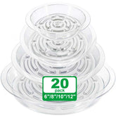 qeqanazo clear 6-inch plant saucer under pot protects floors from excess water