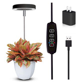 Qicodu grow light top view for small potted plants highlighting compact form and full-spectrum light
