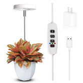 Qicodu grow light for small pot plants with full-spectrum output for healthy growth.