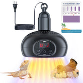 QRQ chicken coop heater with dimmable UV light supports poultry growth.