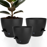 QRRICA 12-inch self-watering pot shows water level indicator for consistent moisture.