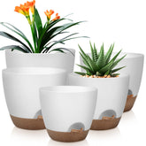 QRRICA self-watering pot 10-inch front view for balanced moisture and thriving indoor plants.