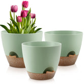 QRRICA 10-inch self-watering pot with removable feeder for balanced hydration.