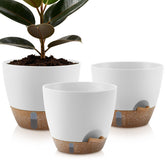 QRRICA self-watering pot 12-inch with water level indicator for consistent moisture