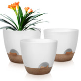 QRRICA 10-inch self-watering pot with saucer for indoor use.